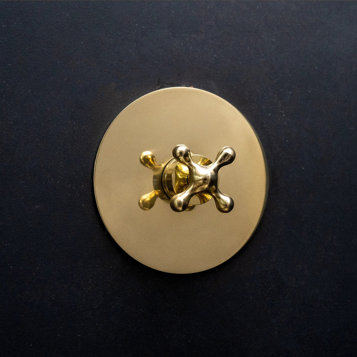 Unlacquered Brass Shower System – Round Rain Head, Flat Design – detail of finish