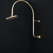 Handcrafted Unlacquered Brass Shower Head with Curved Arm
