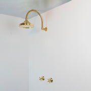 Unlacquered Brass Rainfall Shower System – Arch Design