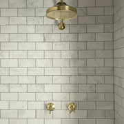 Unlacquered Brass Rainfall Shower System – Arch Design