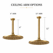 Ceiling Mount Rain Shower System with Hand Shower – Unlacquered Brass