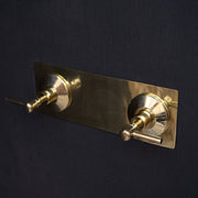 Handcrafted Unlacquered Brass Shower Head with Curved Arm