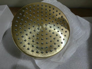 Unlacquered Brass Shower Head with Swivel Connector