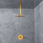 Solid Unlacquered Brass Ceiling-Mounted Shower Set