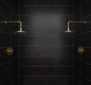 Alabama Unlacquered Brass Single Function Shower Mixer Valve