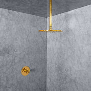 Solid Unlacquered Brass Ceiling-Mounted Shower Set