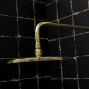 Unlacquered Brass Concealed Shower Set