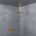 Solid Unlacquered Brass Ceiling-Mounted Shower Set