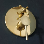 Unlacquered Brass Concealed Shower – Cross Handle