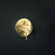 Unlacquered Brass Concealed Shower – Cross Handle
