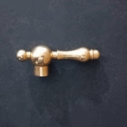 Unlacquered Brass Single-Hole Gooseneck Faucet