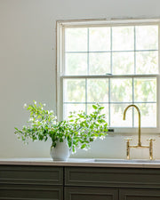 Unlacquered Brass High-Arch Bridge Kitchen Faucet with Sprayer