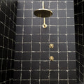 Unlacquered Brass Shower Set – Curved Arm Rain Head